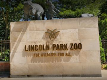 Residentes de Chicago ya pueden disfrutar de manera limitada de las atracciones de un zoológico local.