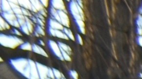 Integrantes de la comunidad de La Villita marcharon para repudiar la muerte del adolescente Adam Toledo a manos de un policía de Chicago y para exigir justicia. (Belhú Sanabria / La Raza)