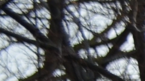 Un mitin y marcha en La Villita pidió permitir el control de alquileres y que se frene el desplazamiento urbano. (Belhú Sanabria / La Raza)