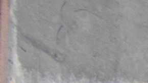 La Administración del Seguro Social dejará de enviar las 'cartas no match'.