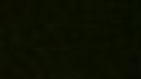 El dueño de un restaurante de Chinatown de Chicago ofrece alimento a los ancianos de su comunidad .