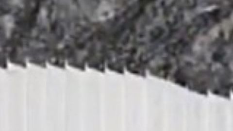 Captura del video de la Patrulla Fronteriza.