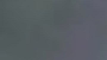 El concejal del Distrito 11 Daley Thompson ejerce funciones desde el 2015. Foto captura WGN