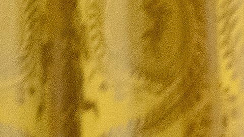 El presidente Joe Biden aplaude después de entregar la Medalla de Honor al Coronel del Ejército Ralph Puckett.