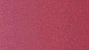 La Administración del Seguro Social envió ‘cartas no match’ al empleador de la fábrica donde trabaja Jorge Sánchez en junio de 2019. (Cortesía Familia Sánchez)