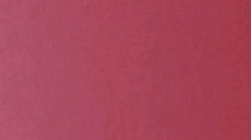 La Administración del Seguro Social envió ‘cartas no match’ al empleador de la fábrica donde trabaja Jorge Sánchez en junio de 2019. (Cortesía Familia Sánchez)