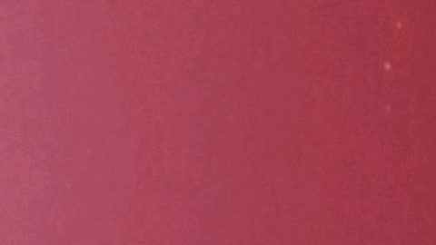 La Administración del Seguro Social envió ‘cartas no match’ al empleador de la fábrica donde trabaja Jorge Sánchez en junio de 2019. (Cortesía Familia Sánchez)