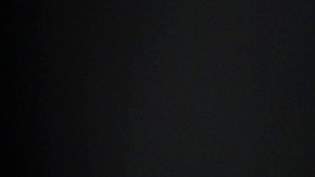 Los integrantes de la coalición quieren que su mensaje durante la Convención Nacional Demócrata llegue al escenario mundial y a la administración del presidennte Joe Biden.