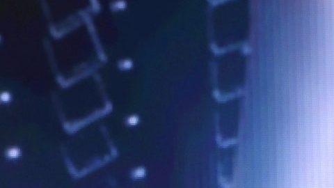 Andrea Meza, Miss Universo 2020