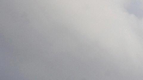 Gigantesca ballena de 115,000 libras aparece muerta en playa del sur de California