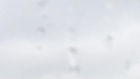 El expresidente Trump adelantó que pronto usará nuevamente su avión privado.