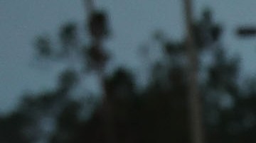 Hay alertas de inundaciones repentinas en varios estados.