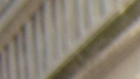 Marchistas de Chicago y suburbios alzan su voz por una legalización para los 11 millones de indocumentados. (Fotos: Belhú Sanabria / La Raza)