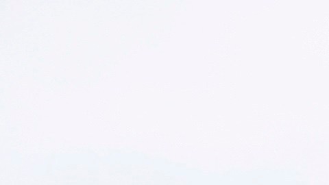 Miriam García ayudó a pedir asilo a cientos de migrantes varados en México.