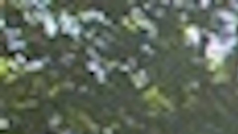 Ravinia es el festival de música al aire libre más antiguo de Estados Unidos.  Foto Google Maps