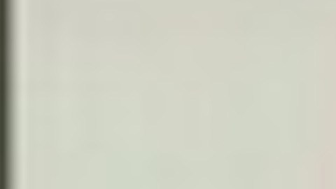 Alfredo Montez de Oca Beltrán, 22 años. Foto Cortesía Departamento de Policía de Chicago