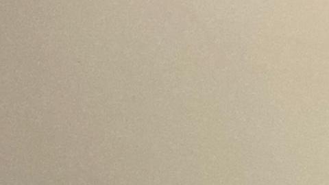 Jornadas de orientación y apoyo a venezolanos en Illinois para solicitar el programa TPS. (Cortesía familia Castro)