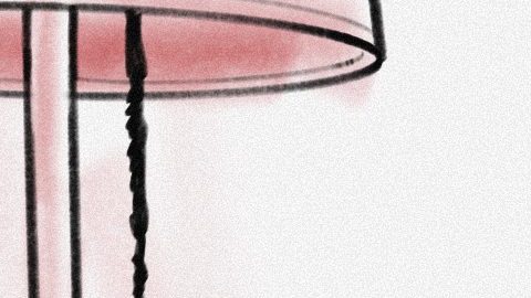 Apoya a La Raza y otros medios independientes de Chicago. Dona en savechicagomedia.org. (Chicago Independent Media Alliance)