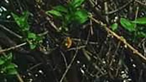 Kristin Glauner junto a su esposo César Elizarraraz. (Cortesía familia Glauner)