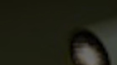 El Planetario Adler ofrece 52 días de entrada gratuita al año.