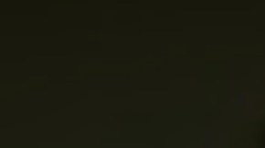 El Planetario Adler ofrece 52 días de entrada gratuita al año.