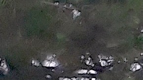 La mujer, de 18 años, que resultó baleada conducía un vehículo ocupado en el vecindario de Hermosa en Chicago.