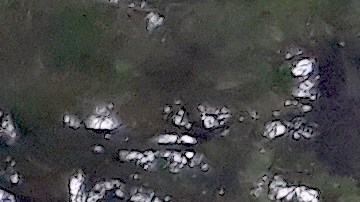 La mujer, de 18 años, que resultó baleada conducía un vehículo ocupado en el vecindario de Hermosa en Chicago.