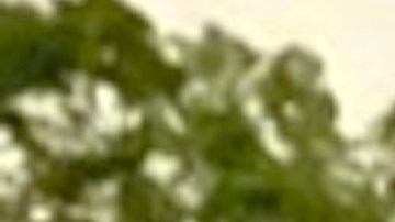 El tornado azotó partes de Naperville, Darien y Woodridge y causó daños en casas y vehículos. Foto Cortesía David O´Sullivan