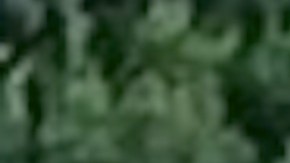 El tren 122 de Rock Island que se dirigía a la estación de LaSalle Street en Chicago había salido de Joliet a las 4:25 pm. Fox 32 Chicago.