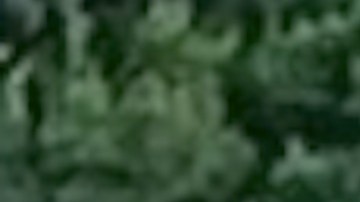 El tren 122 de Rock Island que se dirigía a la estación de LaSalle Street en Chicago había salido de Joliet a las 4:25 pm. Fox 32 Chicago.