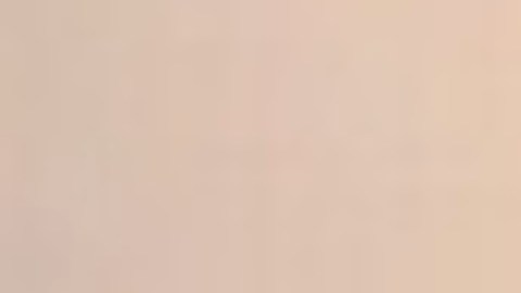 La policía busca a Briana Laurenzana desaparecida el martes en Brighton Park. Foto Departamento de Policía de Chicago