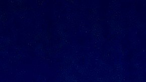 Trabajadores de hoteles de Chicago celebraron que la alcaldesa de Chicago Lori Lightfoot firmó una ordenanza que les permitirá volver a los trabajos que perdieron a causa de la pandemia. (Cortesía Unite Here Local 1)