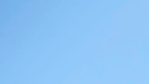 Trabajadores agrícolas en California