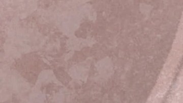 (Lydia Fu / The Trace)