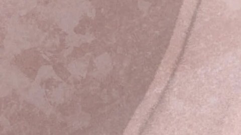 (Lydia Fu / The Trace)