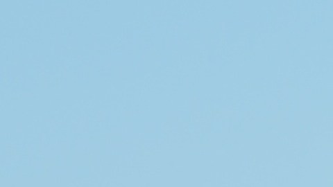 Familias acudieron a vacunarse contra el covid-19 en un centro instalado por autoridades de la ciudad y organizaciones locales en el mercado Swap-0-Rama en el Barrio de las Empacadoras de Chicago. (Belhú Sanabria / La Raza)