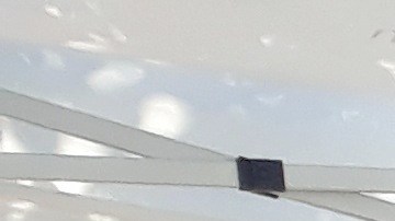 La alcaldesa Lightfoot, quiere comenzar a usar cámaras en los autobuses de la CTA.