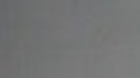 (De Izq. a der.) Jesse Davis, Eugene Roets, Zachary Hart y Cody Villalobos. Foto cortesía Oficina del alguacil del condado de Fulton