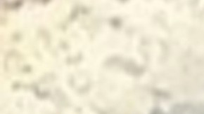 El incendio que comenzó en Morris alrededor del mediodía del martes llevó a los funcionarios de la ciudad a ordenar evacuaciones a al menos 4,000 personas.  Foto captura Fox 32 Chicago