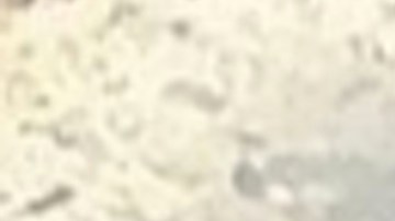 El incendio que comenzó en Morris alrededor del mediodía del martes llevó a los funcionarios de la ciudad a ordenar evacuaciones a al menos 4,000 personas.  Foto captura Fox 32 Chicago