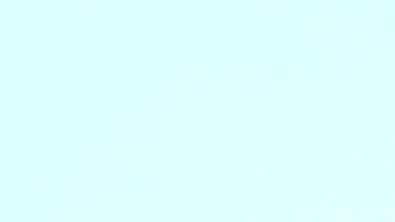 El mexicano Pedro Ortega, afuera del mercado de pulgas Swap-O-Rama, anima a sus connacionales establecidos en Chicago a que participen de las votaciones simbólicas de la consulta popular sobre el posible enjuiciamiento de expresidentes de México. (Belhú Sanabria / La Raza)