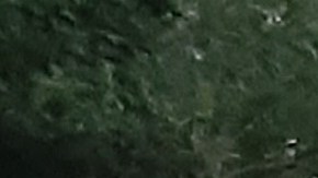 Protesta en la residencia del alcalde de NYC, julio 2021.