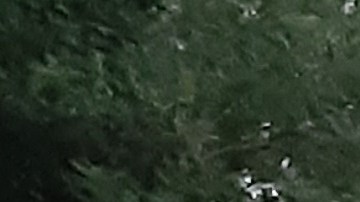 Protesta en la residencia del alcalde de NYC, julio 2021.