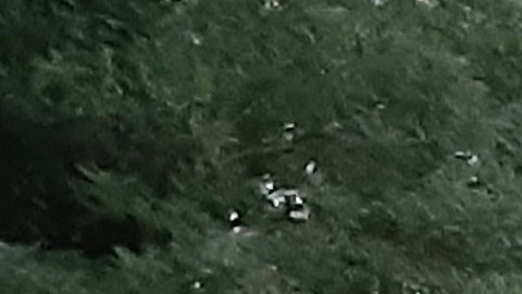 Protesta en la residencia del alcalde de NYC, julio 2021.