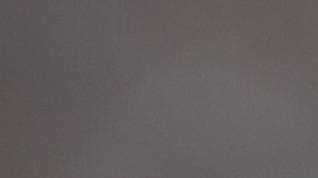 La ciudad de Chicago y la Junta Electoral de Chicago esperaban tener un fallo antes de las elecciones primarias del 19 de marzo.