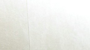 El presidente Biden (izquierda) recordó el día del operativo contra bin Laden, liderado por el presidente Obama (segundo izquierda).