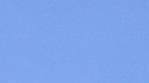 Vecinos cultivan el jardín comunitario La Guayabita Autónoma en Albany Park. (Cortesía)