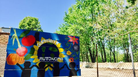 Vecinos cultivan el jardín comunitario La Guayabita Autónoma en Albany Park. (Cortesía)