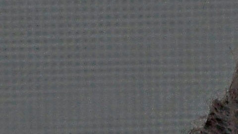 Julio César Chávez