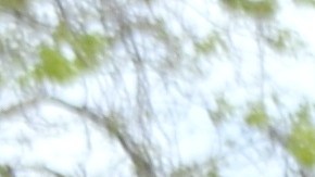 Activistas piden que se cancele el contrato que la cárcel del Condado de McHenry tiene con la Poliía de Inmigración y Aduanas (ICE). (Cortesía Coalición para Cancelar el Contrato con ICE en el Condado de McHenry)